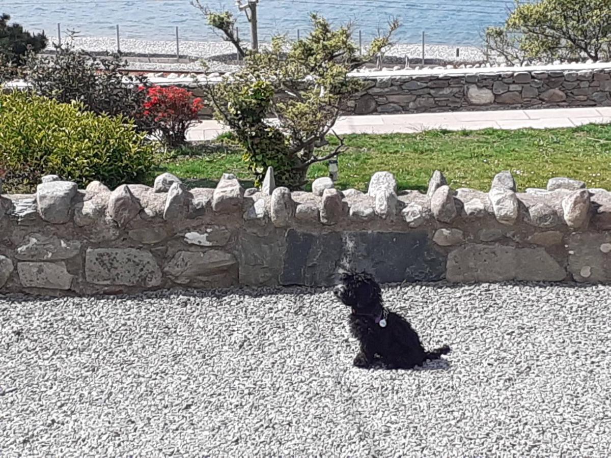 Vila Talarfor Barmouth Exteriér fotografie
